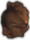iDaan